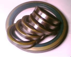 【進(jìn)口汽車油封